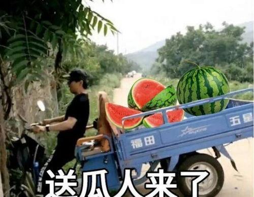 最近大瓜事件,揭秘明星隐私风波背后的真相-第1张图片-中文字幕在线观看亚洲日韩 最近大瓜事件,揭秘明星隐私风波背后的真相-第1张图片-中文字幕在线观看亚洲日韩