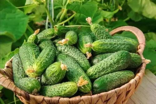 最近大瓜事件,揭秘明星隐私风波背后的真相-第2张图片-中文字幕在线观看亚洲日韩 最近大瓜事件,揭秘明星隐私风波背后的真相-第2张图片-中文字幕在线观看亚洲日韩