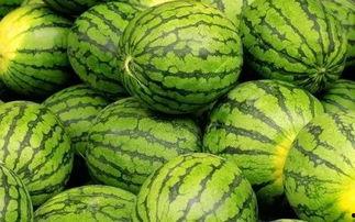 吃瓜网官网免费观看 吃瓜网官网,免费观看,畅享娱乐盛宴-第2张图片-中文字幕在线观看亚洲日韩 吃瓜网官网免费观看 吃瓜网官网,免费观看,畅享娱乐盛宴-第2张图片-中文字幕在线观看亚洲日韩