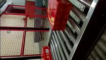 国产流水线加工视频,高效生产背后的秘密-第2张图片-中文字幕在线观看亚洲日韩