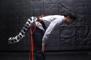 国产肛塞尾巴视频资源,独特设计引发热议-第1张图片-中文字幕在线观看亚洲日韩