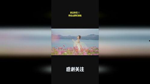 国产真实开处视频网站-第1张图片-中文字幕在线观看亚洲日韩