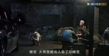 国产野战a v免费视频,免费视频背后的真相与争议-第1张图片-中文字幕在线观看亚洲日韩