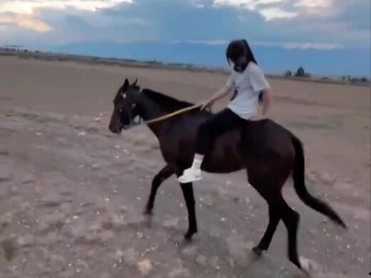 国产山东美女骑马视频,展现东方女性魅力-第1张图片-中文字幕在线观看亚洲日韩