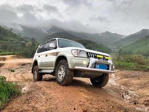 国产车越野视频泥巴路,国产越野车勇闯极限泥巴路-第1张图片-中文字幕在线观看亚洲日韩