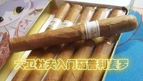 国产雪茄鉴别方法视频讲解-第1张图片-中文字幕在线观看亚洲日韩